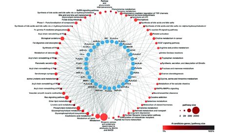 Overlap Of Enriched Pathway Based Sets Containing Genes Shown To Be