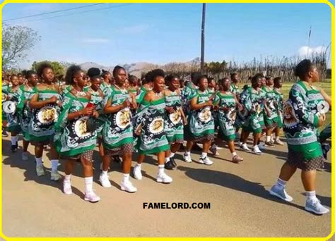 Reed Dance Umhlanga South Africa All You Need To Know About This