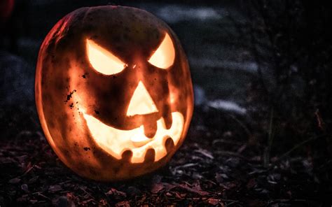 Halloween Pumpkin Free Stock Photo Public Domain Pictures