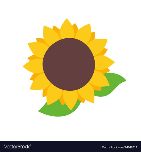 Blooming Yellow Sunflowers Full Of Sunflower Vector Image