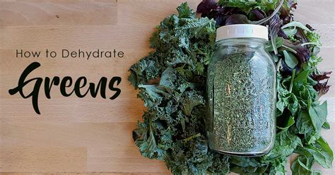 DIY Green Powder aka Super Greens - The Purposeful Pantry