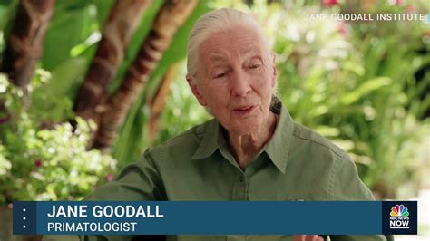 La C L Bre Primatologue Britannique Jane Goodall A D Sormais Une Barbie