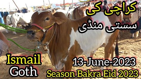 Ismail Goth Cow Mandi Karachi Ki Sb Sy Sasti Mandi Karachi Cattle Rates