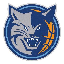 Charlotte Bobcats Alternate Logo | SPORTS LOGO HISTORY