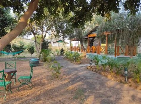 tadoba travel guide amz cabs