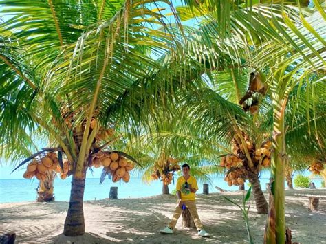 Intip Keindahan Pantai Kelapa Kuning Wawonii Jadi Objek Wisata Baru Di