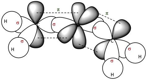 A model of the organic compound allene is shown below.\ Expl | Quizlet