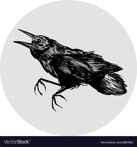 Black Crow Royalty Free Vector Image - VectorStock