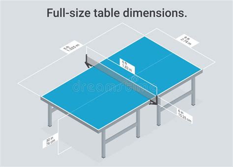 Full-size Table Dimensions. Vector. Stock Illustration - Illustration ...