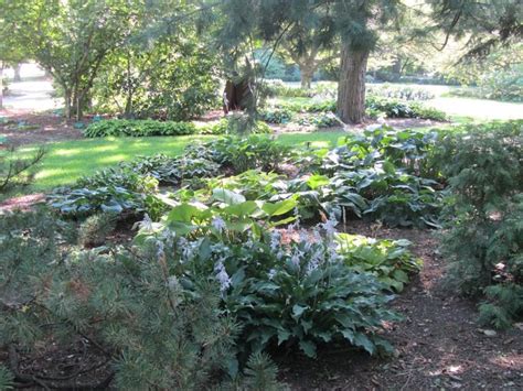 Home Chadwick Arboretum And Learning Gardens Arboretum The Ohio