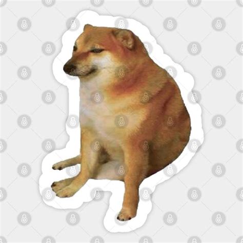 Shiba Inu - Cheems - Sticker | Shiba inu, Shiba, Inu