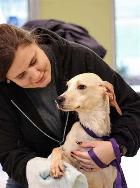 Caldwell County Animal Care Enforcement Opens New Facility – Caldwell ...