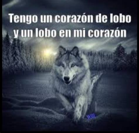 Introducir 61 Imagen Frases Sobre Lobos Solitarios Abzlocal Mx