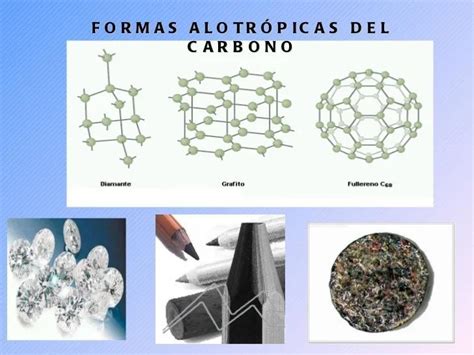 Mapa Mental De Las Diferentes Formas Del Carbono En La Naturaleza Prf