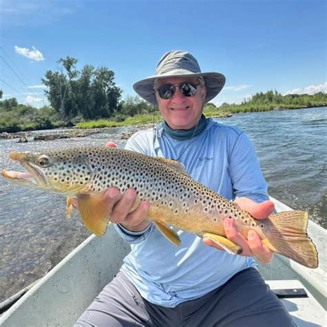 South Fork Of The Snake River Fishing Report 8102023 The Lodge At