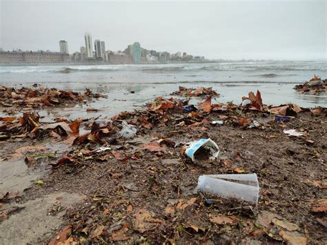 Mar Del Plata Tras La Lluvia Los Pl Sticos Terminan En El Mar