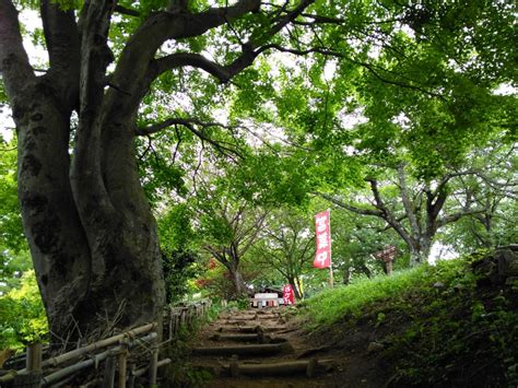 新緑の高尾山 Climb Every Mountain