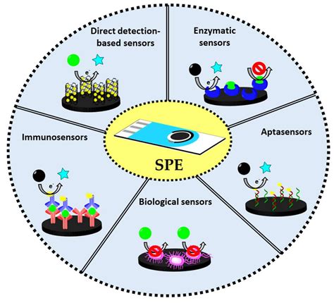 Biosensors Free Full Text Electrochemical Bio Sensors For