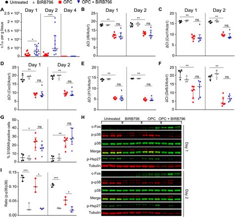 The Candida Albicans Toxin Candidalysin Mediates Distinct Epithelial