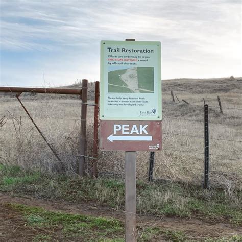 Hike Mission Peak Trail The Ultimate Guide From A Local Carrie