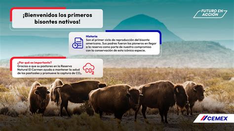 Cemex México on Twitter Le damos la bienvenida a los primeros