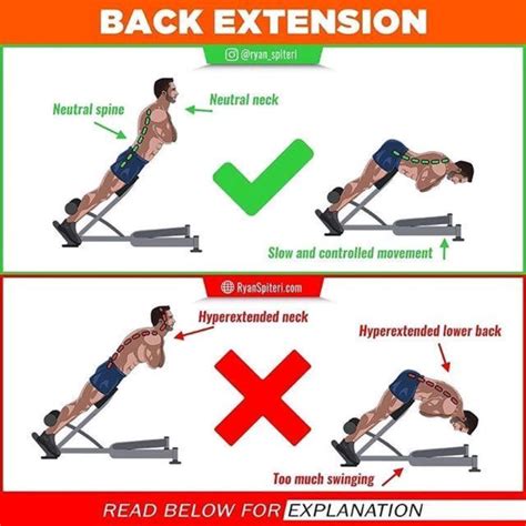 Back Extensions By Richard Terry Jr Exercise How To Skimble