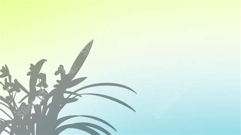 Best Flower And Grass Shadow Powerpoint Background For Presentation ...