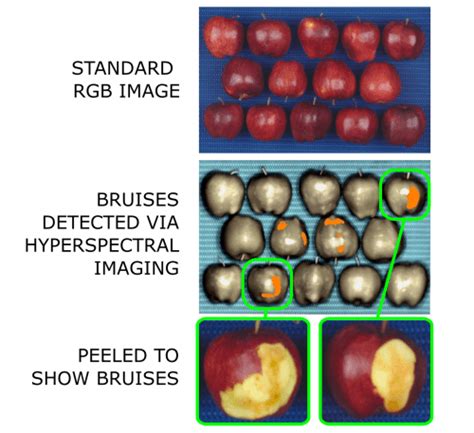 Hyperspectral Imaging Applications & Case Studies - Resonon