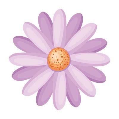 Purple Flower Vector Art, Icons, and Graphics for Free Download