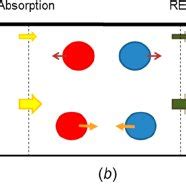 Jablonski diagram illustrating a sequence of excitation, resonance ...