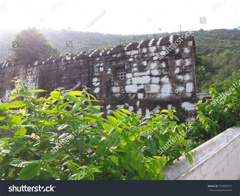 indianwall images stock  vectors shutterstock