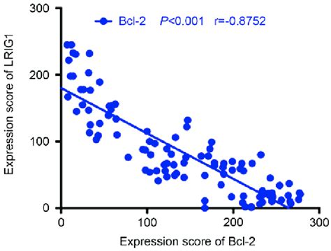 Correlation Between Lrig And Bcl In Human Nm Ovc And Oscc Tissues