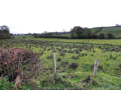 Rushy Ground Usnagh Kenneth Allen Cc By Sa 2 0 Geograph Ireland