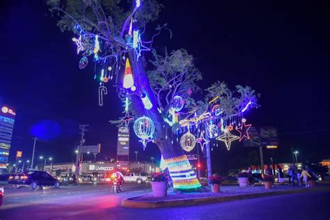 La magia de la Navidad llega a Los Mochis con encendido de árbol y