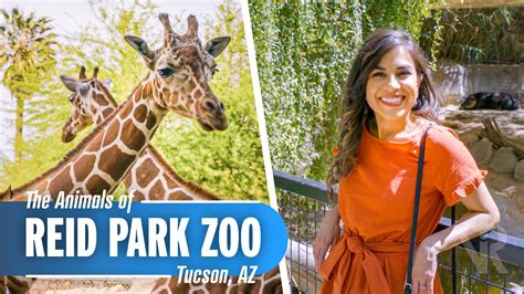 A Day At Reid Park Zoo In Tucson Az Youtube