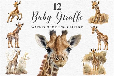 African Baby Giraffe Safari Animal PNG Graphic by Rabbit Heart Clipart ...