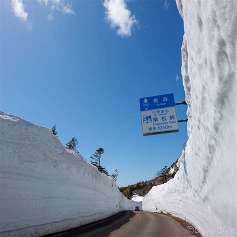 八甲田山 雪の回廊 20220405 写真、旅（車中泊）、アウトドア情報サイト