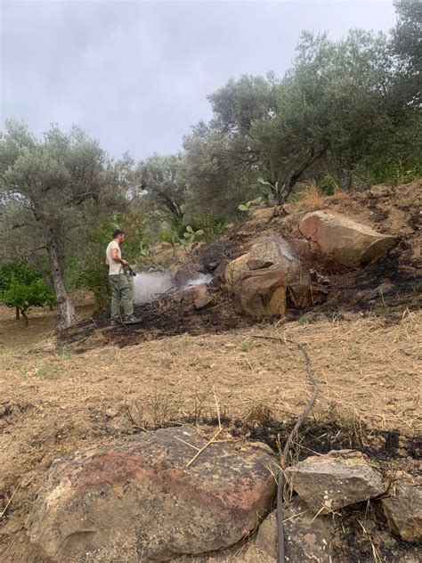 Pettineo Bruciano Sterpaglie Nonostante Lallerta Incendi Denunciati