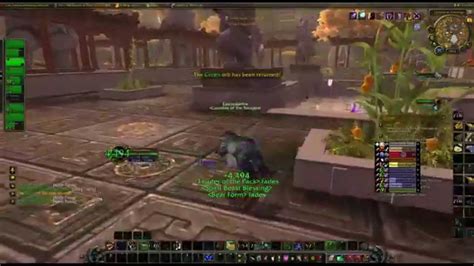 Wow 6 2 WoD Feral Druid BG Pvp YouTube