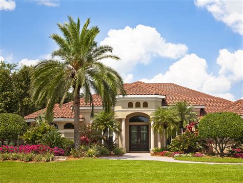 Popular Front Yard Landscape Trees