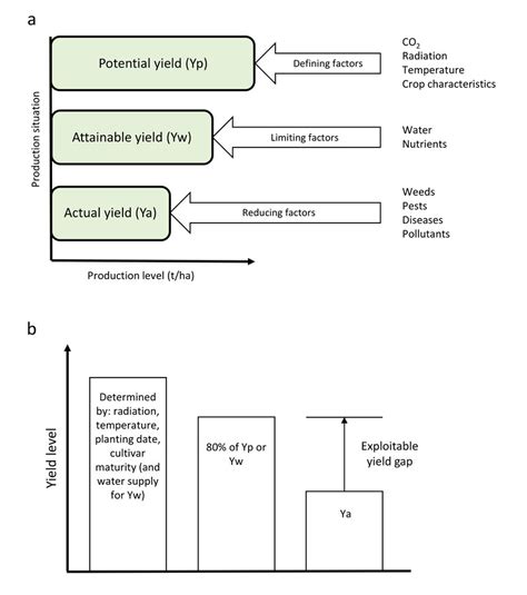 Yield Gaps Between Potential Attainable And Actual Yield Based On