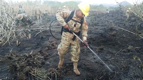 Puerto Quijarro Mitigan Incendio Forestal Que Consumi Al Menos Dos