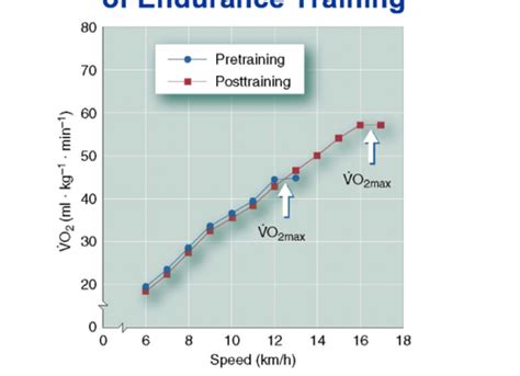 Lec 22 Cardiovascular Adaptations To Endurance Training Flashcards