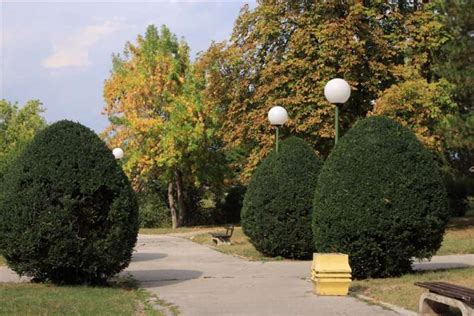 Niška Banja Hotels Niš