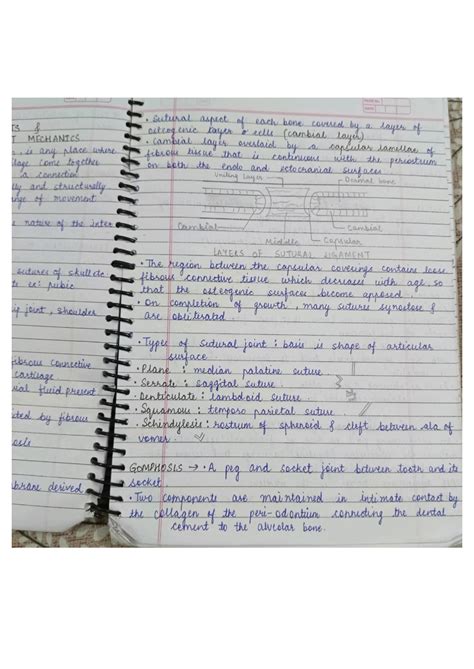 SOLUTION: Classification of joints and joint mechanics - Studypool