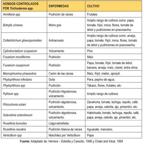 Infoagronomo Net On Twitter Los Microorganismos Ben Ficos Como