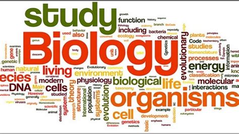 Biology Study Material For Cbse Class 12 Board Exam 2018