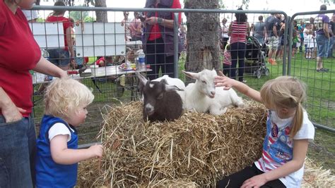 Mobile Petting Zoo — Ericksons Petting Zoo