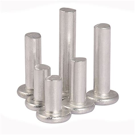 Sus304 Sus316 Stainless Steel Flat Round Head Rivets Solid