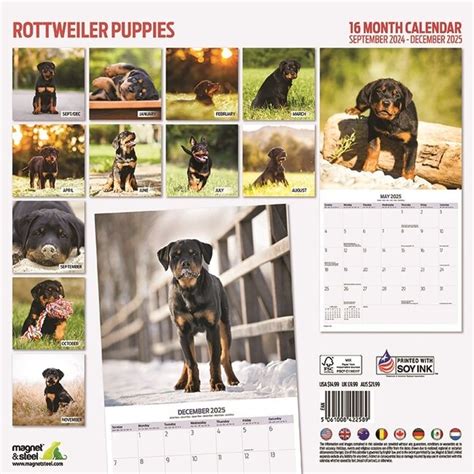 Rottweiler Puppies Kalender Kopen Bestel Eenvoudig Online